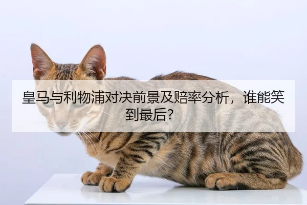 皇马与利物浦对决前景及赔率分析，谁能笑到最后？